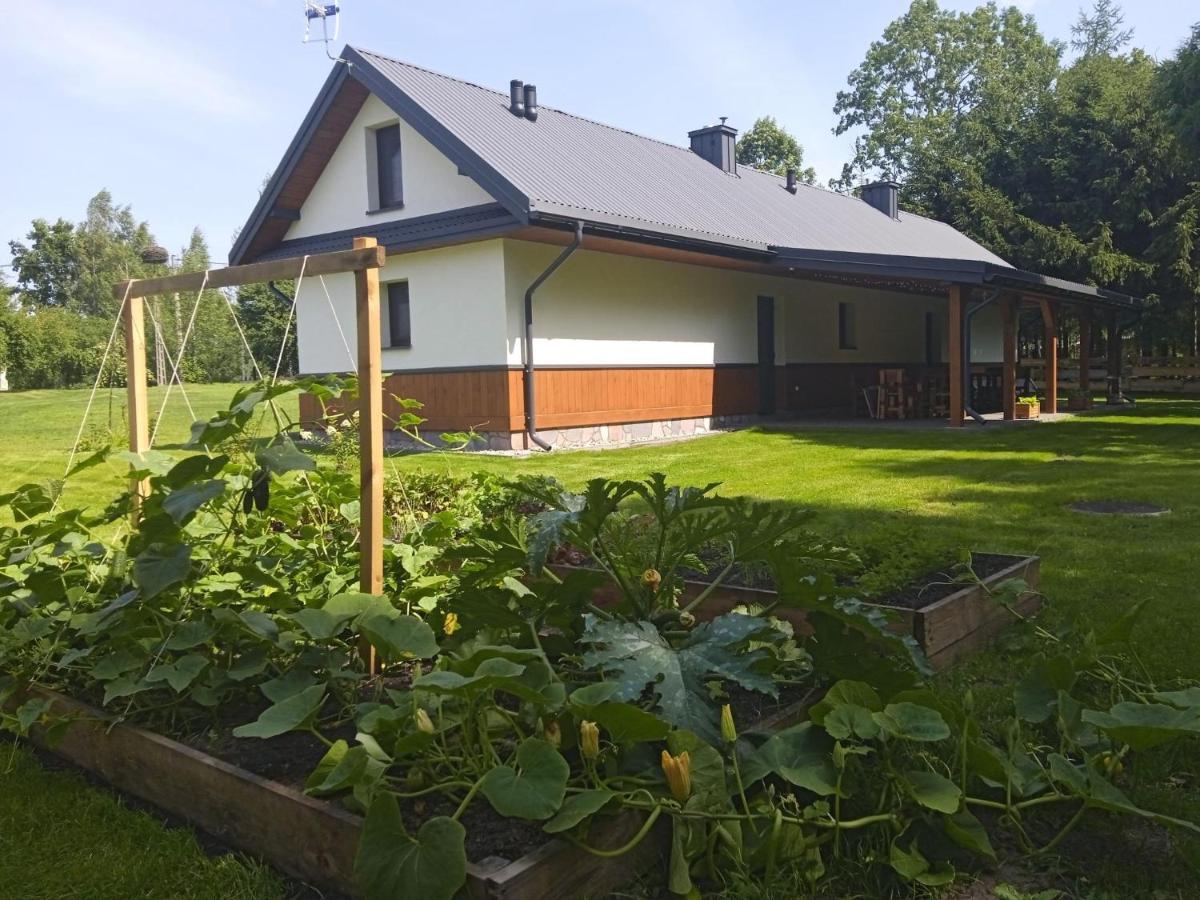 Siedlisko Czarny Dzieciol Apartment Narewka Exterior photo